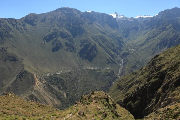 Andenlandschaft mit colca-schlucht in peru — Stockfoto