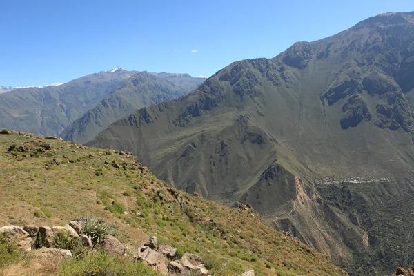 安第斯风景与秘鲁的 colca 峡谷 — 图库照片