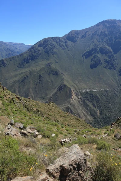 Andské krajiny s colca canyon v peru — Stock fotografie