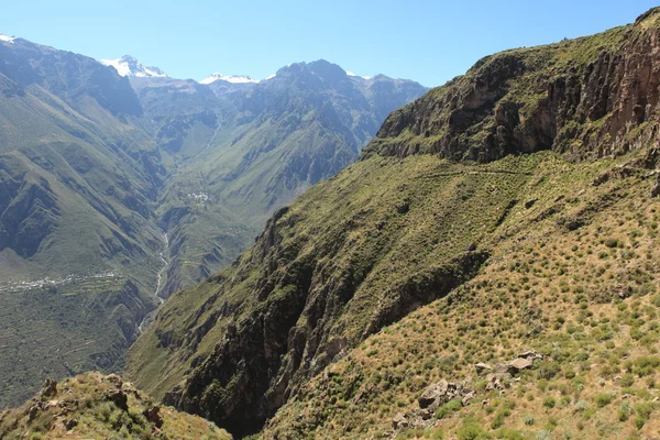 Paisagem Andina com Colca Canyon no Peru — Fotografia de Stock