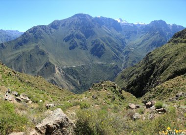 Peru 'daki Colca Kanyonu