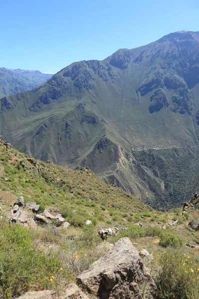 Colca Canyon v Peru — Stock fotografie