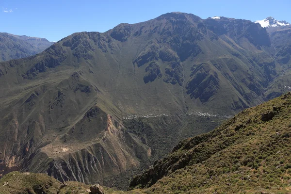 Peru 'daki Colca Kanyonu — Stok fotoğraf