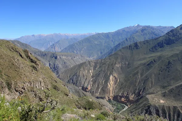 Colca kanyon Peruban — Stock Fotó