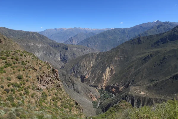 Colca Canyon in Peru — Stock Photo, Image
