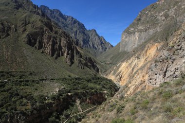 peru colca Kanyonu