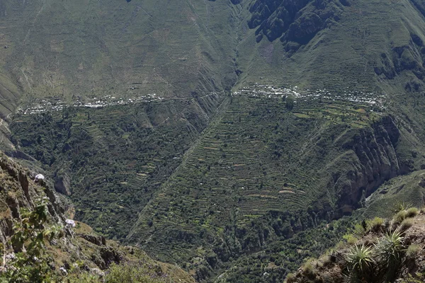 Pueblo en el Cañón del Colca del Perú — Foto de Stock