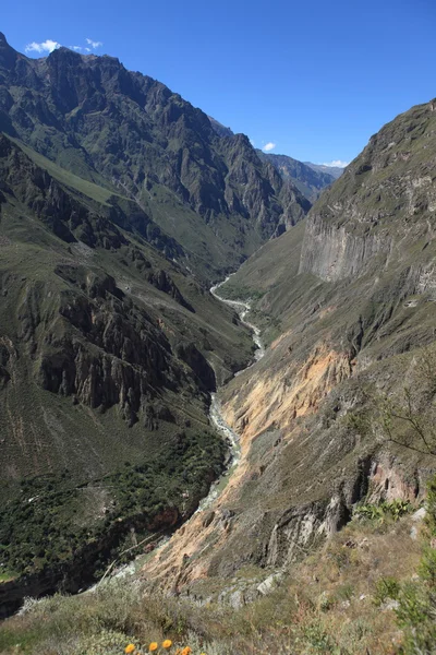 Cañón del Colca en Perú — Foto de Stock