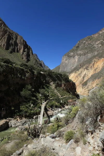 Nel canyon colca del Perù — Foto Stock