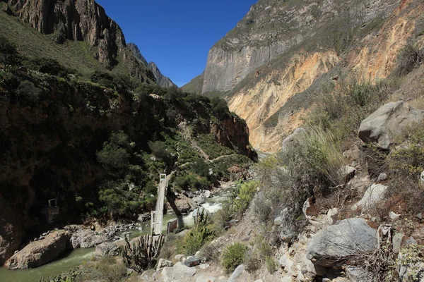 W kanion colca w peru — Zdjęcie stockowe