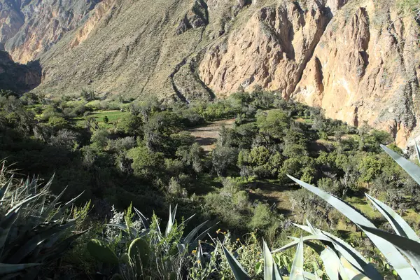 Colca Canyon ในเปรู — ภาพถ่ายสต็อก