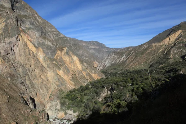 Colca kanyon Peruban — Stock Fotó