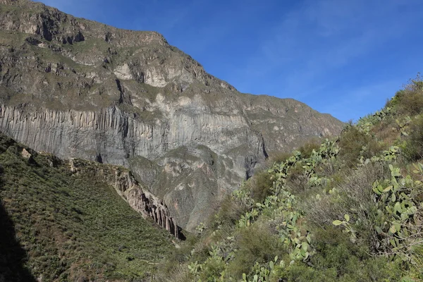 Cañón del Colca en Perú —  Fotos de Stock