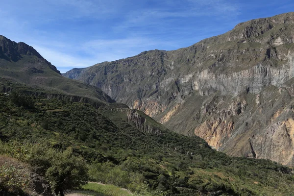 Colca kanyon Peruban — Stock Fotó