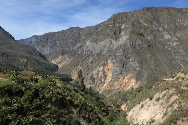 Kanion Colca w Peru — Zdjęcie stockowe