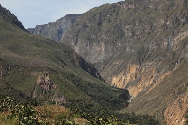 Colca-Schlucht in Peru — Stockfoto