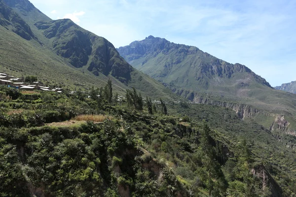 Peru 'daki Colca Kanyonu — Stok fotoğraf