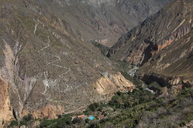 colca canyon Peru peyzaj