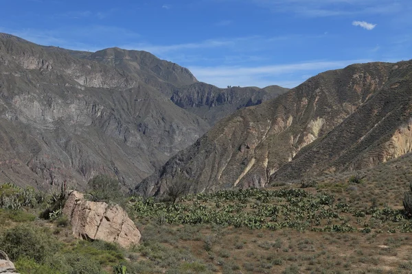 El paisaje del cañón de la colca en perú —  Fotos de Stock