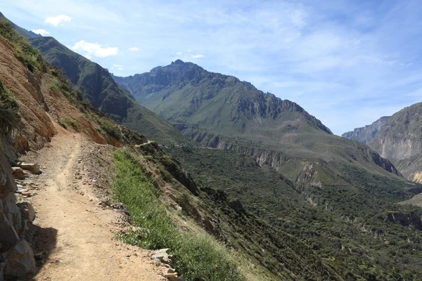 Krajobraz kanion colca w peru — Zdjęcie stockowe