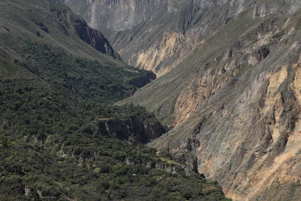 Colca canyon Peru peyzaj — Stok fotoğraf