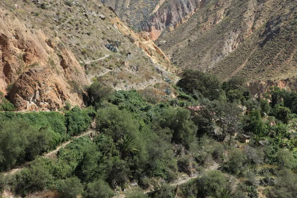 El paisaje del cañón de la colca en perú —  Fotos de Stock