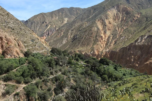 Krajobraz kanion colca w peru — Zdjęcie stockowe