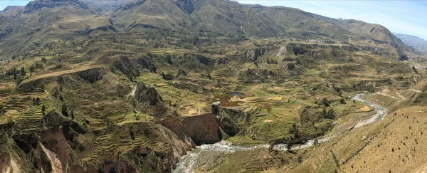 The Colca Canyon in Peru — Stok fotoğraf