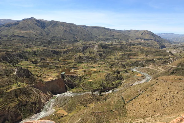 The Colca Canyon in Peru — Stok fotoğraf