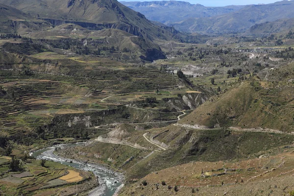 The Colca Canyon in Peru — Stok fotoğraf