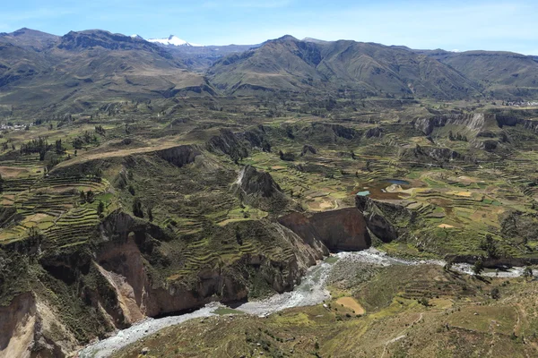 El Cañón del Colca en Perú — Foto de Stock