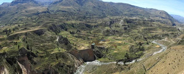 El Cañón del Colca en Perú — Foto de Stock