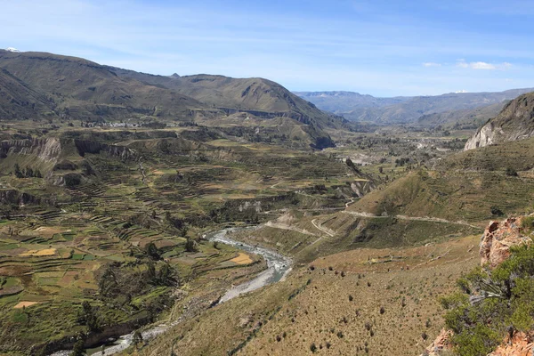 The Colca Canyon in Peru — Stockfoto