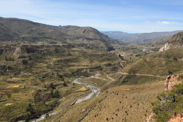 Kanion colca w peru — Zdjęcie stockowe