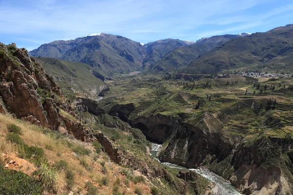 Colca canyon v peru — Stock fotografie