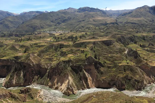 Το colca canyon στο Περού — Φωτογραφία Αρχείου