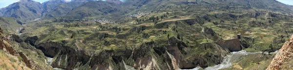 Die colca-schlucht in peru — Stockfoto