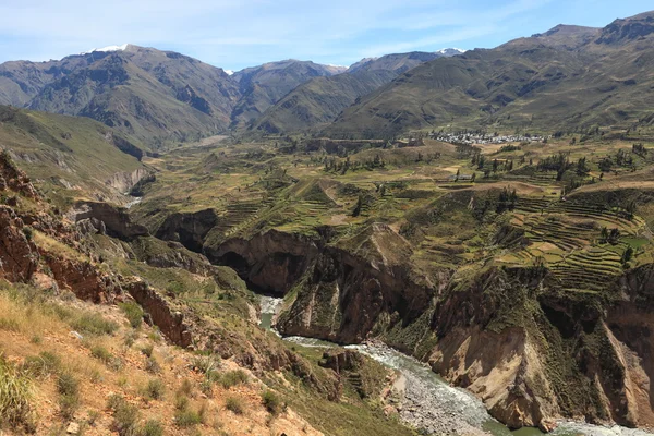 The Colca Canyon in Peru — Stok fotoğraf