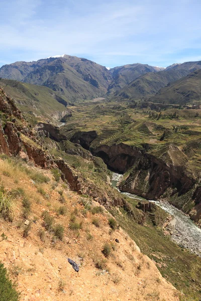 The Colca Canyon in Peru — Stok fotoğraf
