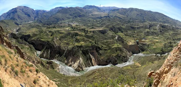 Kanion colca w peru — Zdjęcie stockowe