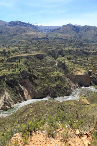 Το colca canyon στο Περού — Φωτογραφία Αρχείου
