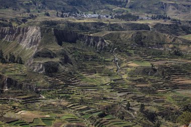 The Colca Canyon in Peru