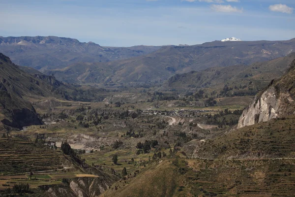 在秘鲁 colca 峡谷 — 图库照片