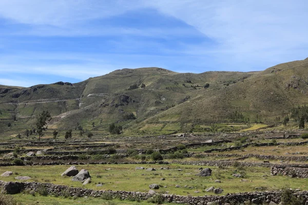 O Canhão Colca no Peru — Fotografia de Stock