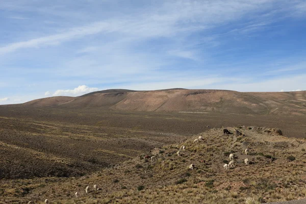 Landschaft in den Anden von Peru — Stockfoto