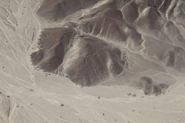 Na planině Nazca v peru — Stock fotografie