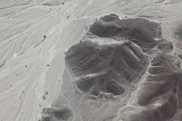 De nazca-lijnen in peru — Stockfoto