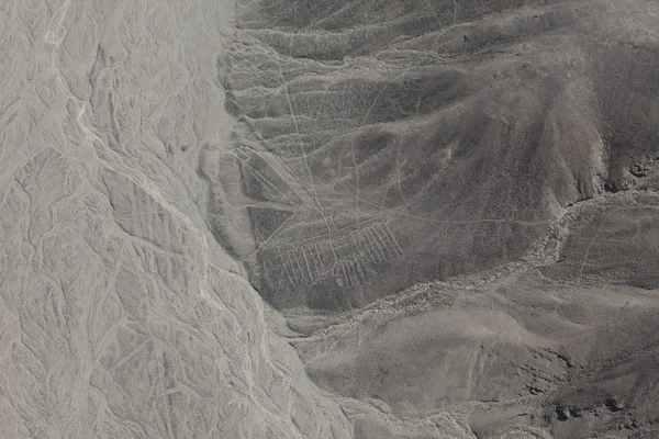 Las líneas de nasca en perú — Foto de Stock