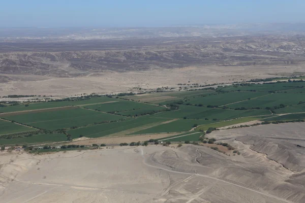 De woestijn nazca in peru — Stockfoto