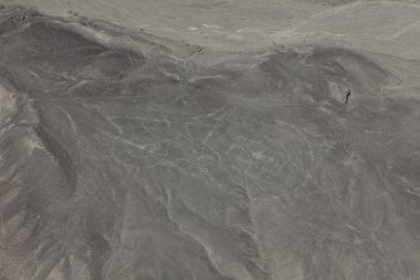 Peru nasca çizgileri